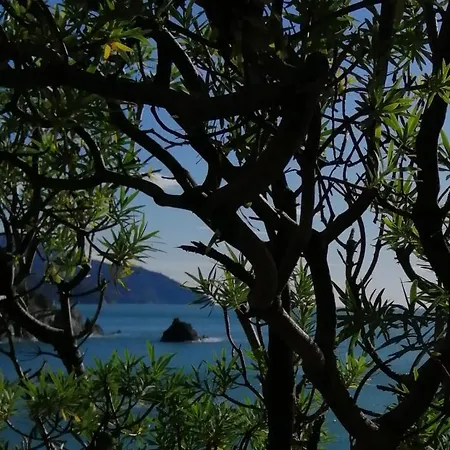 Chez Rita Apartment Monterosso al Mare