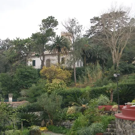 Chez Rita דירה